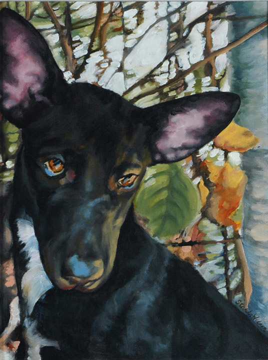 Art Commissions Shiny Paint Window Painting, Hand Painted Signs PEI, Canada